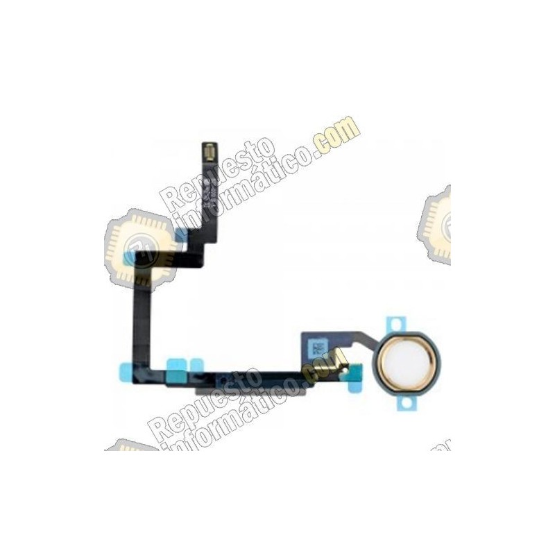 FLEX BOTON HOME IPAD MINI 3 (DORADO)