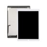 Pantalla Blanca iPad Pro