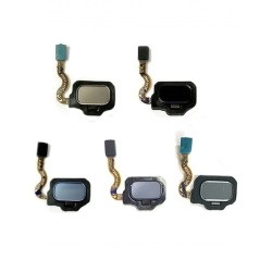 Flex Botón Huella Dactilar Trasero para Samsung Galaxy S8 G950F