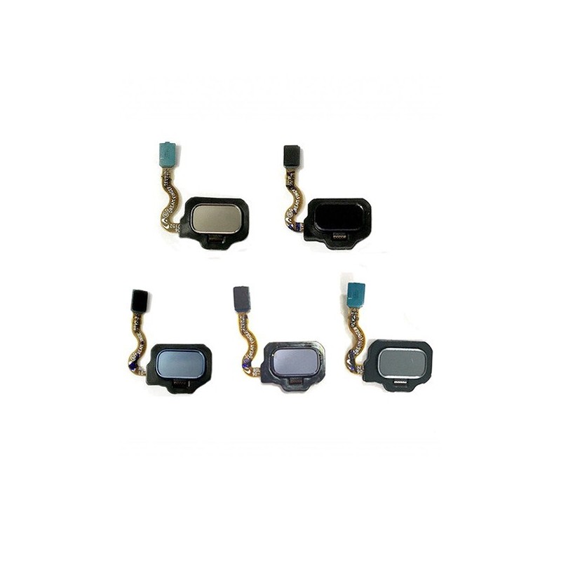Flex Botón Huella Dactilar Trasero para Samsung Galaxy S8 G950F
