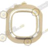 Embellecedor Camara Galaxy J7  -  Galaxy J5  (Dorada)