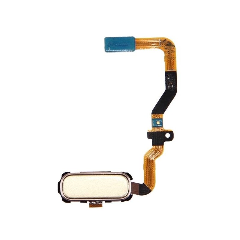 Flex Home con Lector Huella Samsung Galaxy S7, G930F Dorado