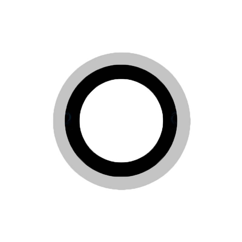 Lente de Camara Trasera Xiaomi MI 11 (M2011K2G)