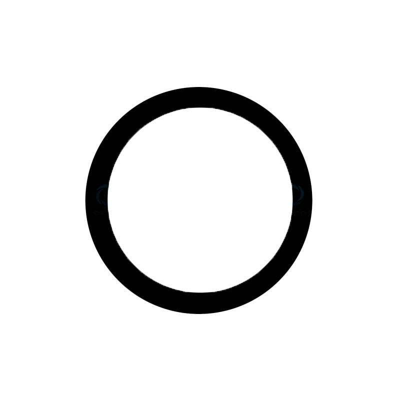 Lente Camara Trasera (Pequeña) iPhone 13