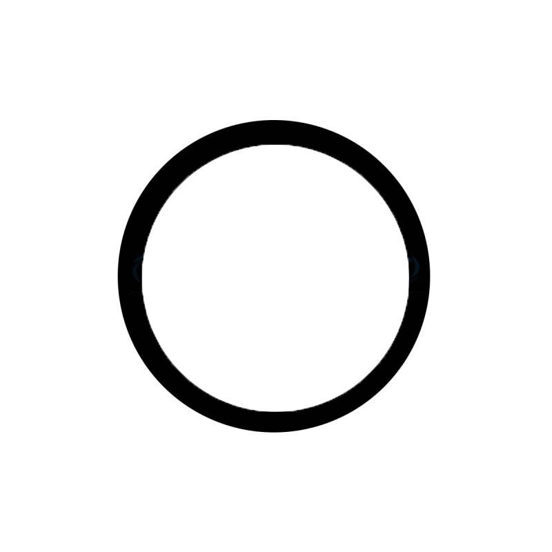 Lente Camara Trasera (Pequeño) iPhone 12 Pro